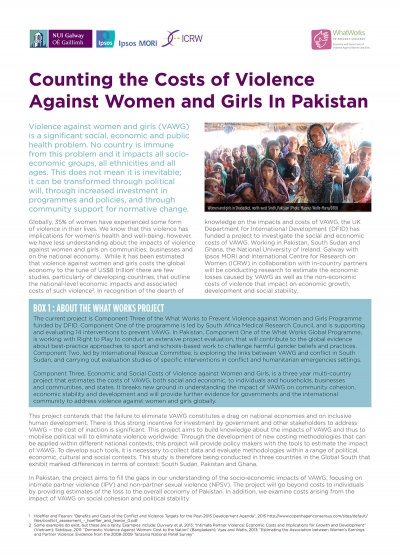 Counting the Costs of Violence Against Women and Girls In Pakistan