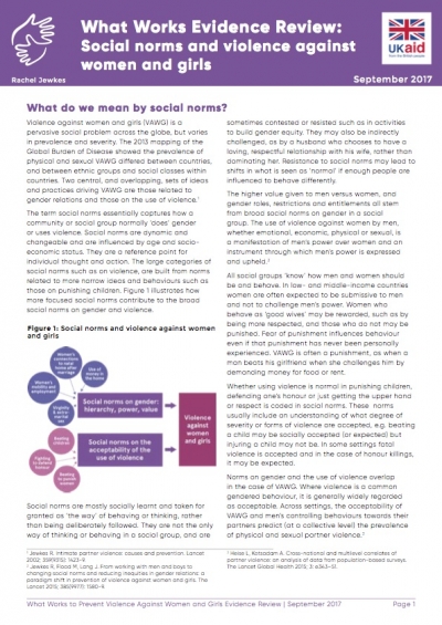 Social Norms Evidence Brief