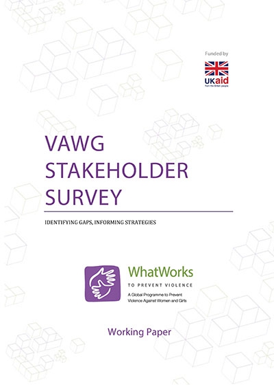 VAWG Stakeholder Survey