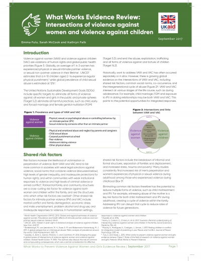 What Works Evidence Review – Intersections of Violence Against Women and Violence Against Children
